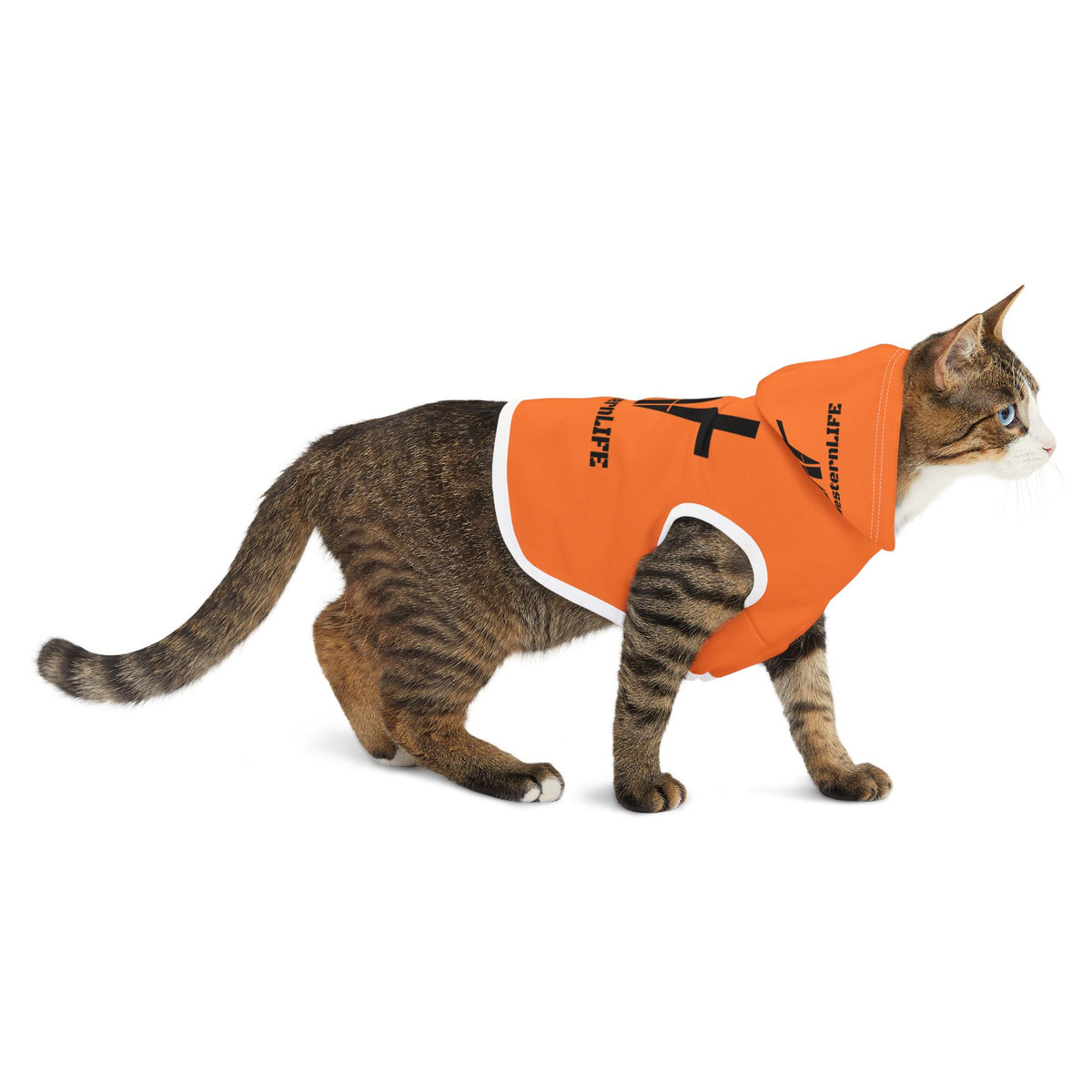 Pet Hoodie with White – Cozy Dog & Cat Hoodie.  Customize