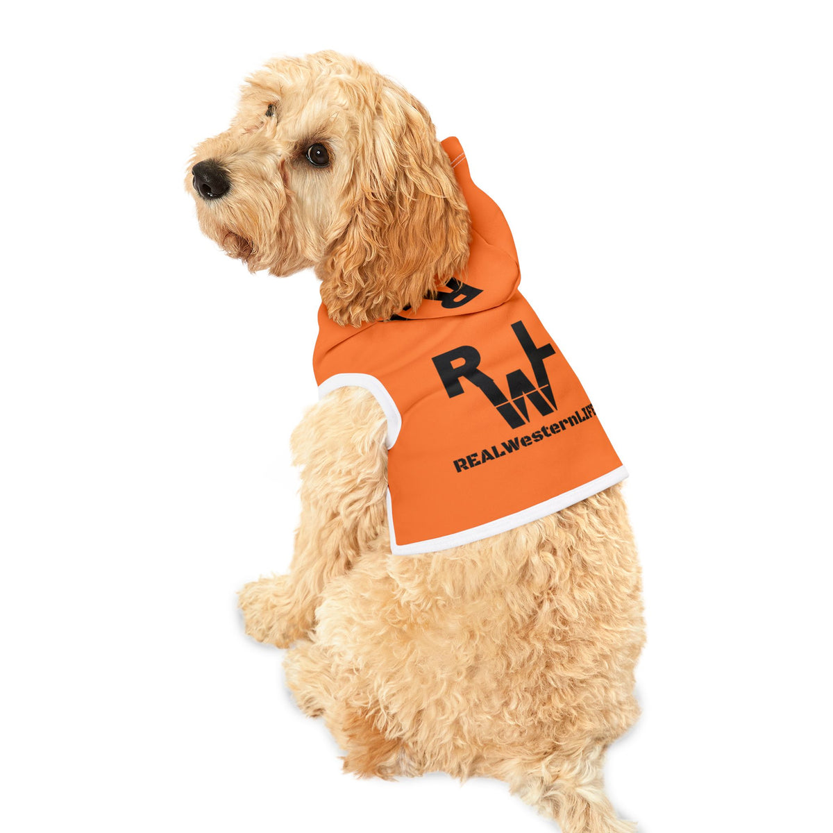 Pet Hoodie with White – Cozy Dog & Cat Hoodie.  Customize