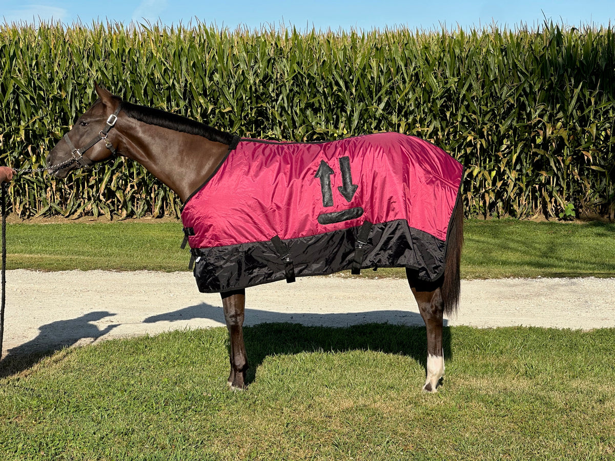 Custom Branded Horse Blanket
