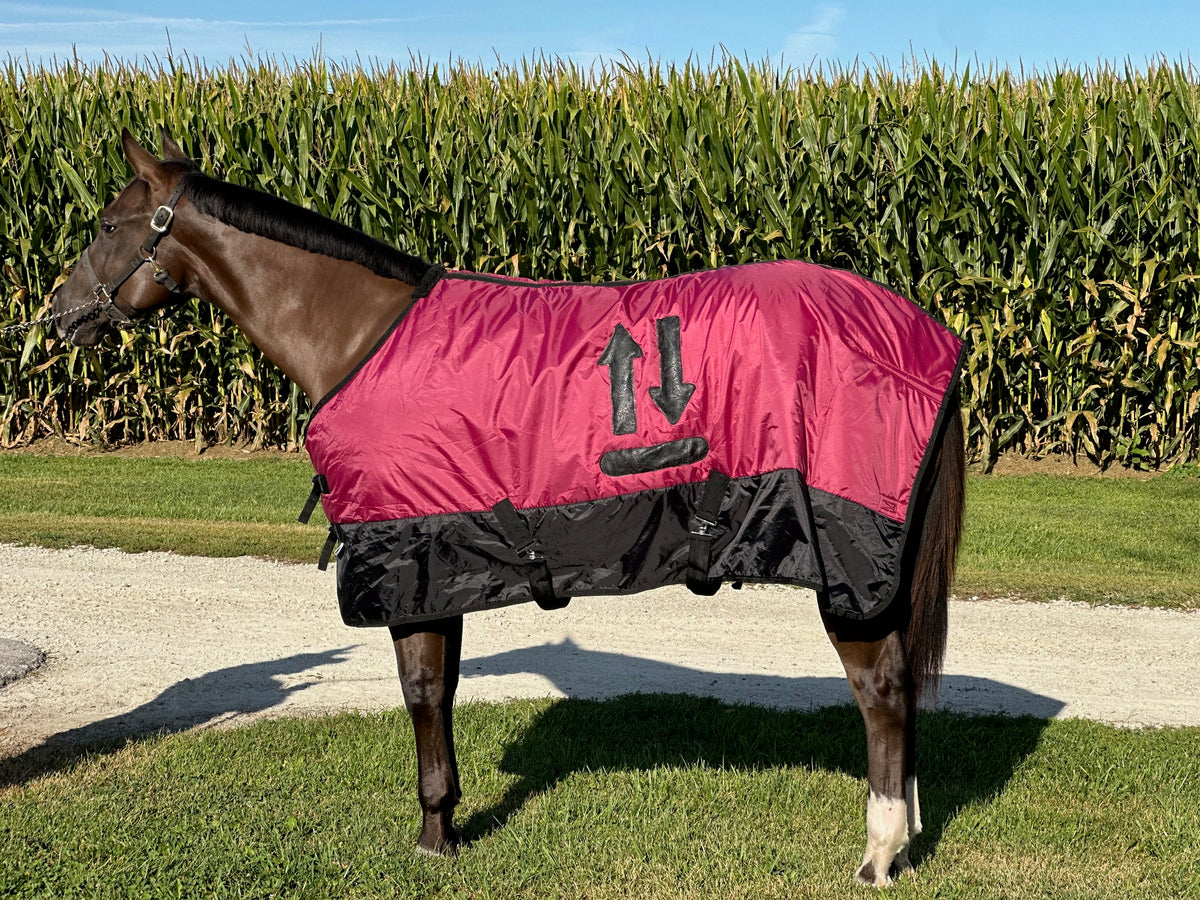 Custom Branded Horse Blanket